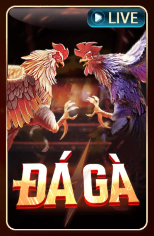 Đá Gà Livestream
